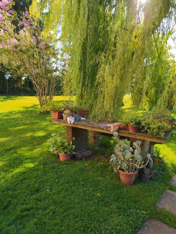 Favilli Villa Pise